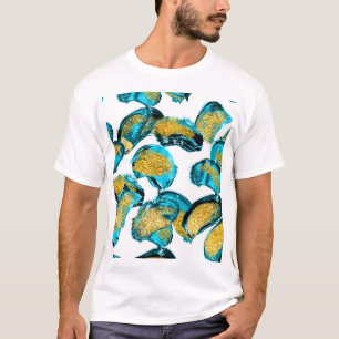 Camiseta azul acuático, turquesa, dorado.