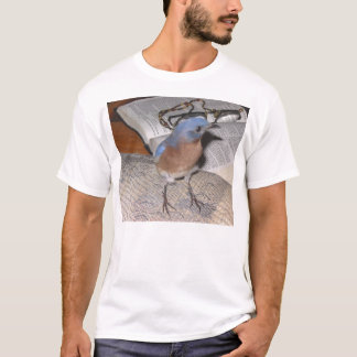 Camiseta Azul de la biblia