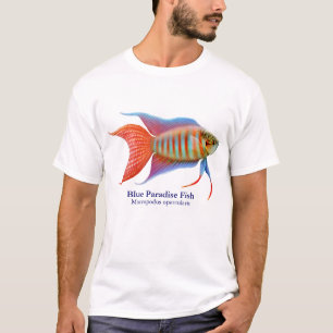 Camiseta azul de los pescados del paraíso