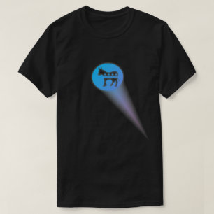 Camiseta Azul del voto