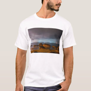 Camiseta Azules de la ciudad de Chiba