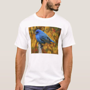 Camiseta Azulillo índigo macho, Passerina cyanea
