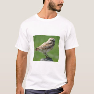 Camiseta B56 Lechuza de madriguera