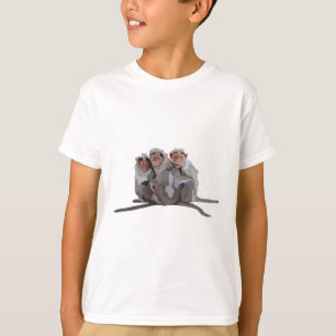 Camiseta B es para Bonnet Macaque.