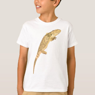 Camiseta B es para el Dragón con las culatas