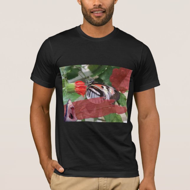Camiseta $B$ $harks e inglés antiguo (Anverso)