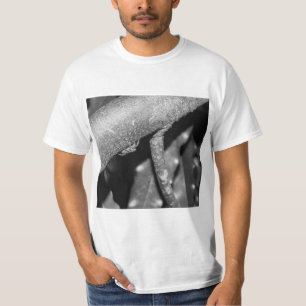 Camiseta B&W - Araña 02