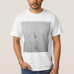 Camiseta B&W - Araña y sus Bebés