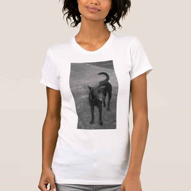 Camiseta B&W - Aspin (Anverso)