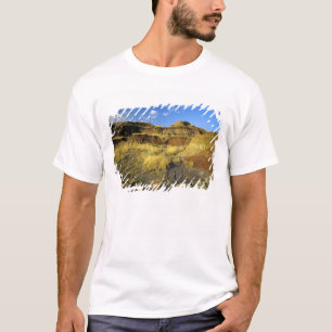Camiseta Badlands en el Parque Provincial Dinosaur, en Albe
