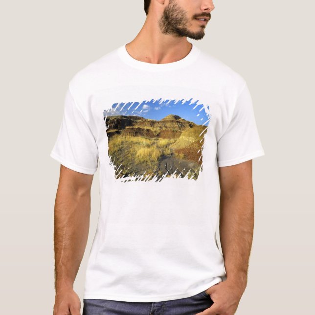 Camiseta Badlands en el Parque Provincial Dinosaur, en Albe (Anverso)