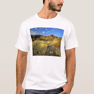 Camiseta Badlands en el Parque Provincial Dinosaurio en Alb