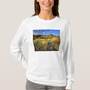 Camiseta Badlands en el Parque Provincial Dinosaurio en Alb