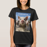 Bahamas Cerdos Nadando - Exuma Pig Beach Adventure