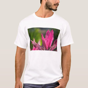 Camiseta BAHAMAS, Isla de Nueva Providencia, Nassau: Paraís