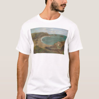 Camiseta Bahía de Avalon, isla de Santa Catalina (1212)