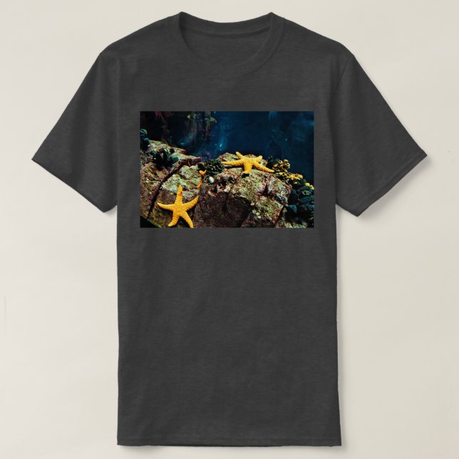 Camiseta Bajo el mar 4 (Diseño del anverso)