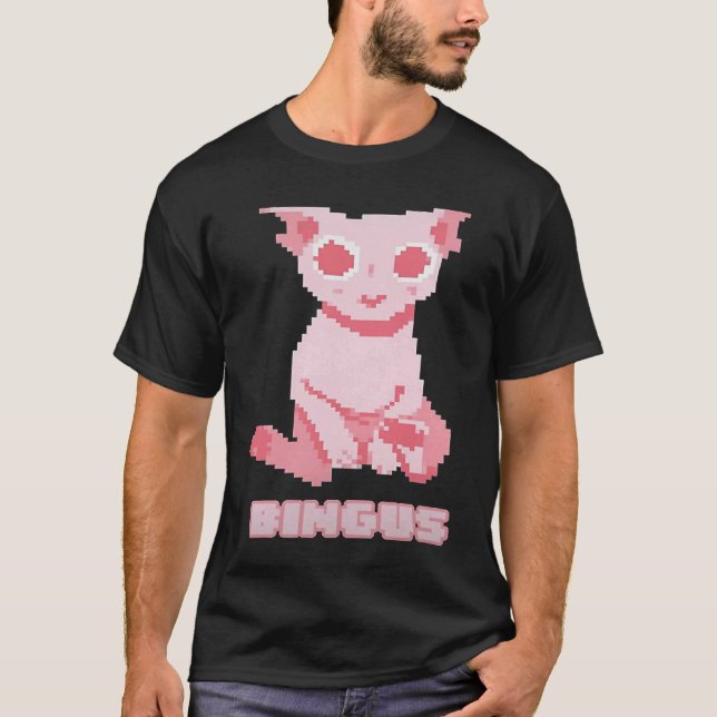 Camiseta Bald Bingus My Beloved Hairless Sphinx Cat (Anverso)