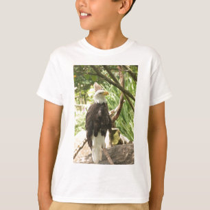 Camiseta Bald Eagle