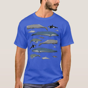 Camiseta Ballena 2 6