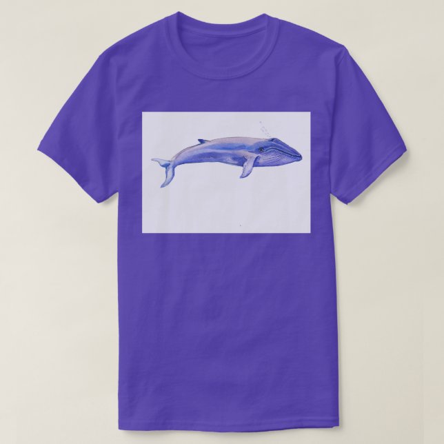 Camiseta Ballena azul 73 1 (Diseño del anverso)