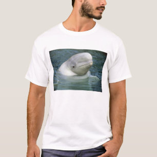 Camiseta Ballena Beluga, Delphinapterus leucas)