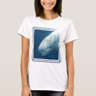 Camiseta Ballena blanca