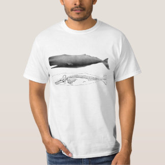 Camiseta ballena de esperma