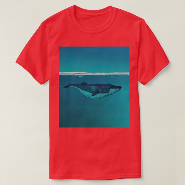 Camiseta Ballena Hola 18 (Diseño del anverso)