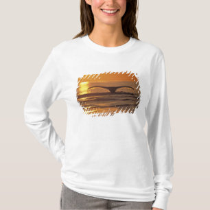 Camiseta Ballena jorobada