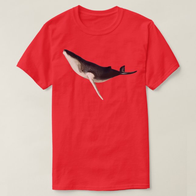 Camiseta Ballena jorobada 35 1 (Diseño del anverso)