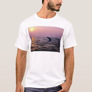 Camiseta Ballena jorobada que pone en una exhibición en la