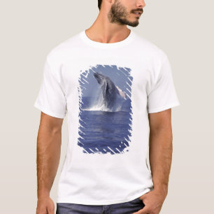 Camiseta Ballena jorobada saltando (Megaptera