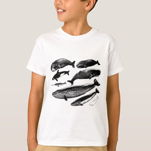 Camiseta ballenas (Anverso)
