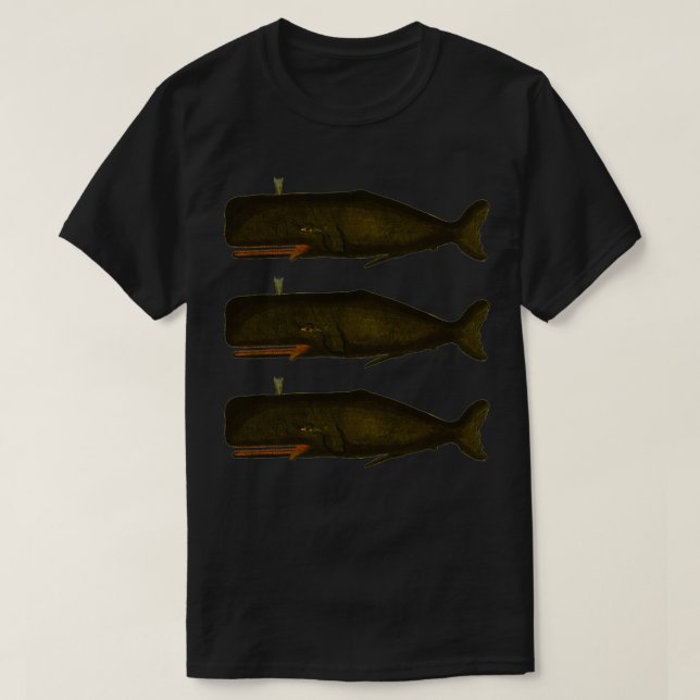 Camiseta Ballenas de época (Diseño del anverso)