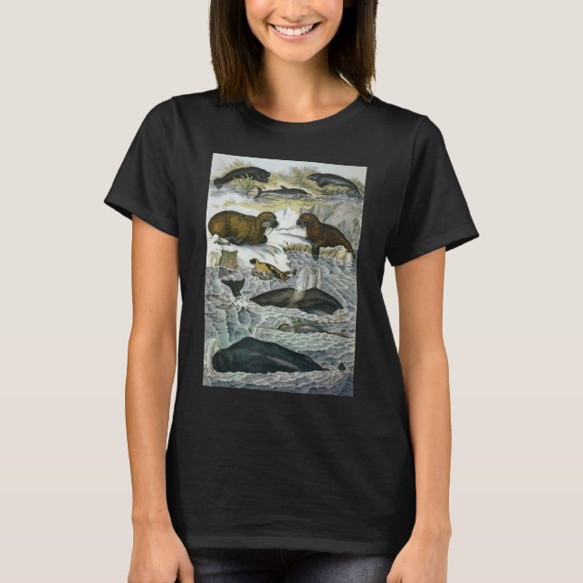 Camiseta Ballenas, focas y valles, animales marinos (Anverso)