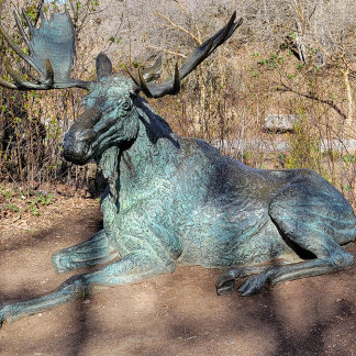 Camiseta Ballerina y Robot