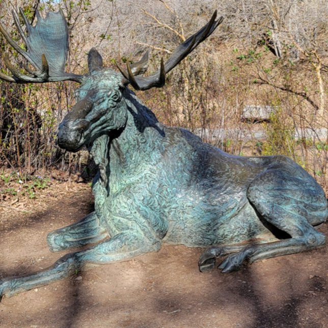 Camiseta Ballerina y Robot (Subido por el creador)