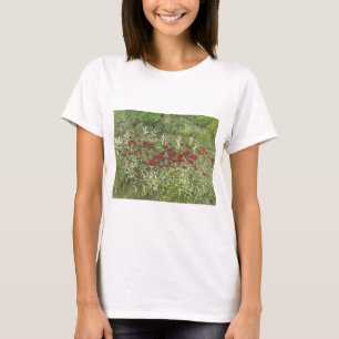 Camiseta Bálsamo de abeja (bergamota) en agosto