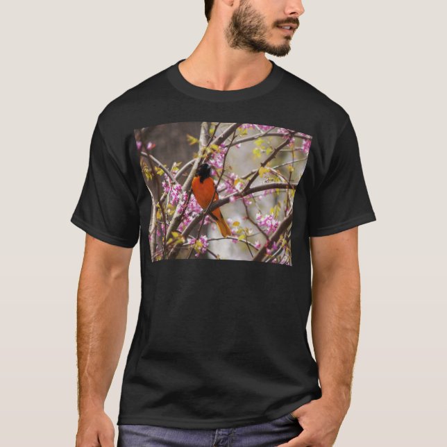 Camiseta Baltimore Oriole (Anverso)