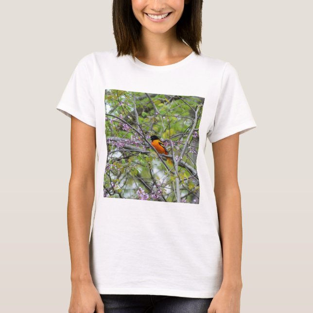 Camiseta Baltimore Oriole (Anverso)