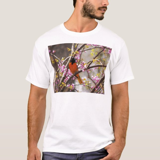 Camiseta Baltimore Oriole (Anverso)