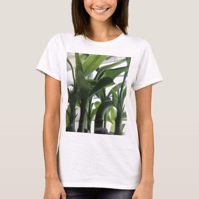 Camiseta Bambú de verano (Anverso)