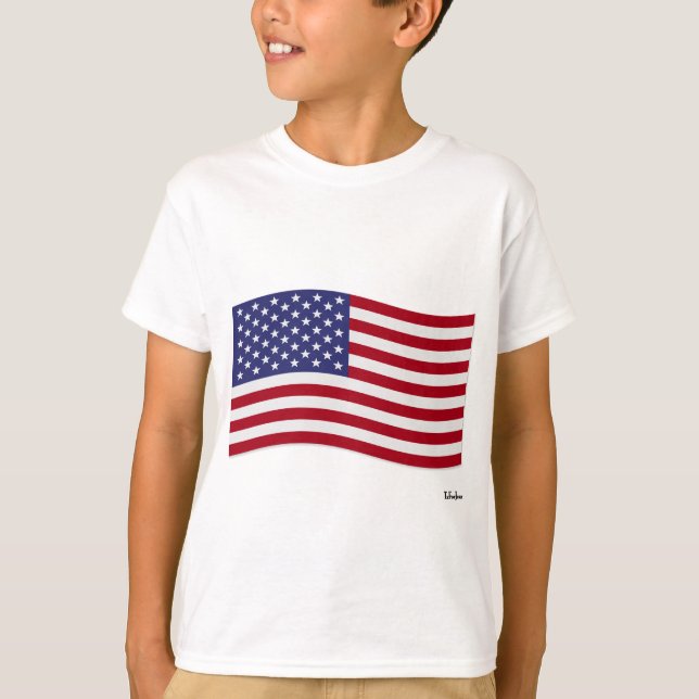 Camiseta Bandera Americana (Anverso)