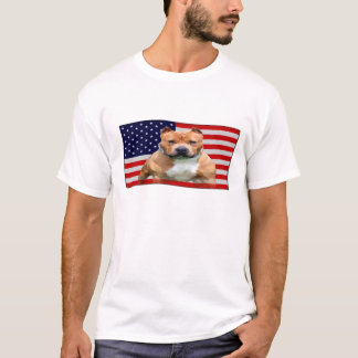 Camiseta bandera americana