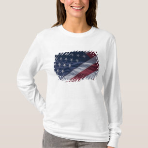 Camiseta Bandera americana.