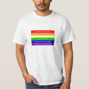 Camiseta Bandera arcoiris mensaje