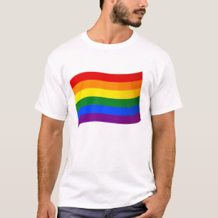 Camiseta Bandera arcoiris Orgullo gay El amor LGBT es amor 