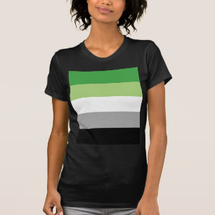 Camiseta bandera aromantic