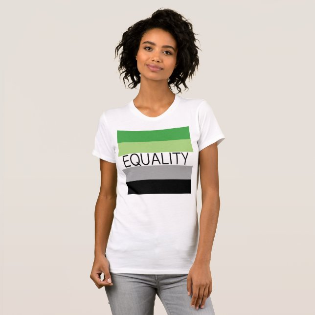 Camiseta Bandera Aromántica EQUALITY (Anverso completo)